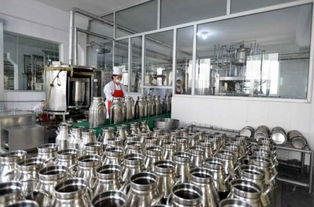 金正恩視察平壤兒童食品廠，鼓勵打造世界領先工廠